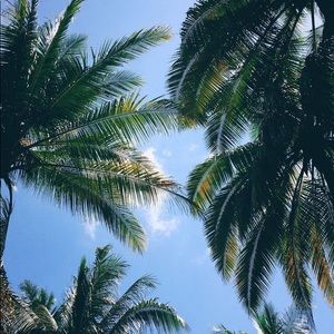 Meet your Posher, Kennedy